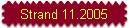 Strand 11.2005